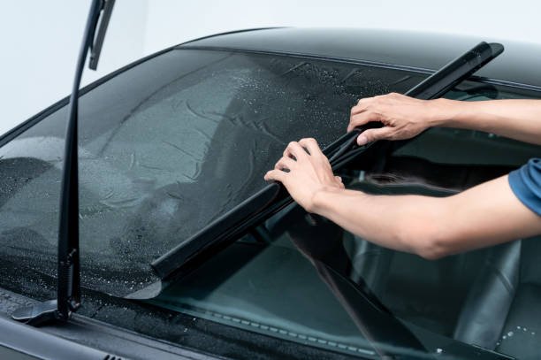 Crack Down on Windshield Damage: A Guide to Types and Repairs